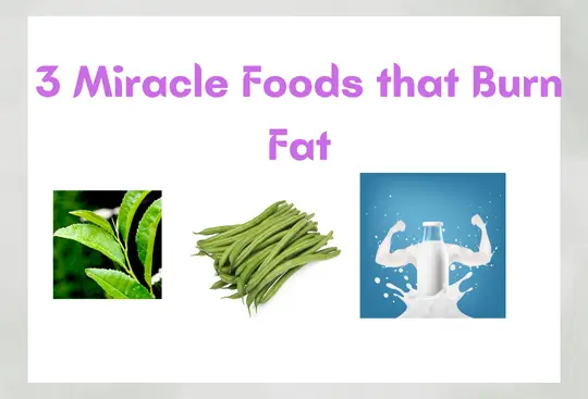 Foods That Burn Fat